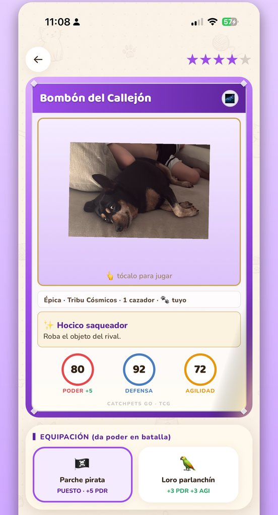 CatchPets GO