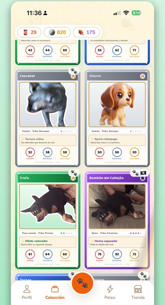 CatchPets GO