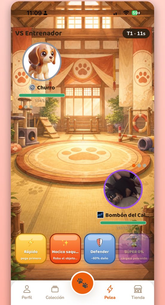 CatchPets GO