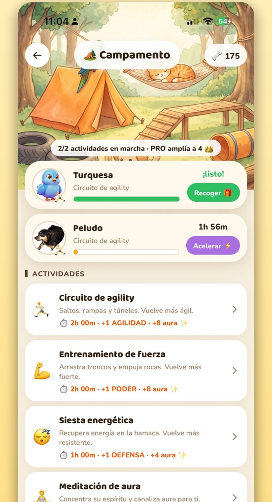 CatchPets GO